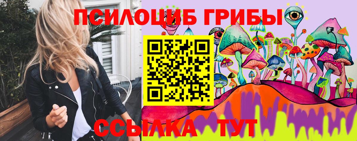 Черкесск  Псилоцибиновые грибы прущие грибы  Вход с VPN  Галлюциногенные грибы Magic Shrooms 