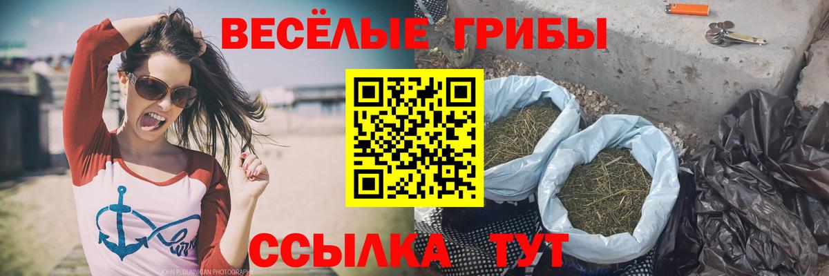Псилоцибиновые грибы Cubensis Черкесск
