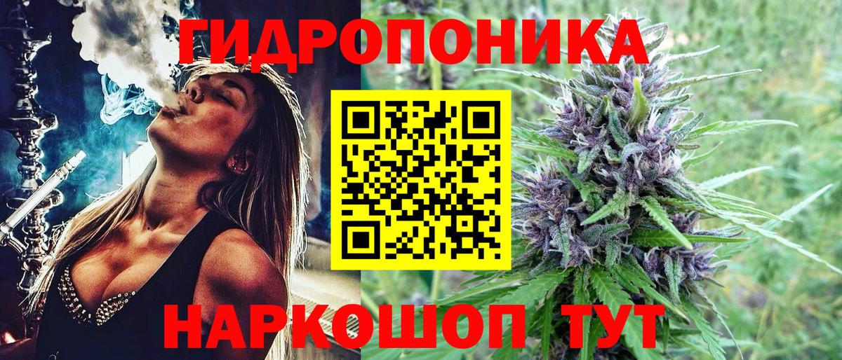 Бошки марихуана планчик Черкесск